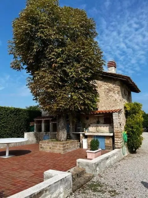 Villa Zanina Peschiera del Garda Apartment